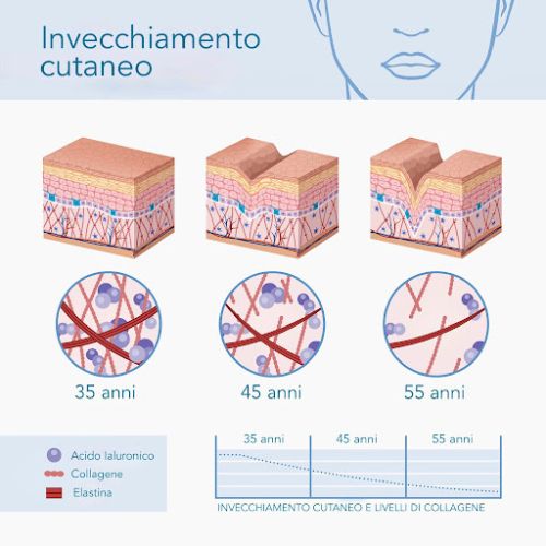 Invecchiamento cutaneo livelli di collagene